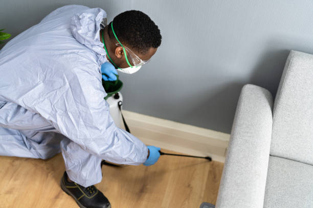 Best Pest Prevention Services  in South Yarmouth, MA